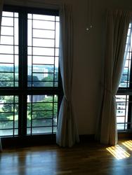 Tanglin View (D3), Condominium #86296392